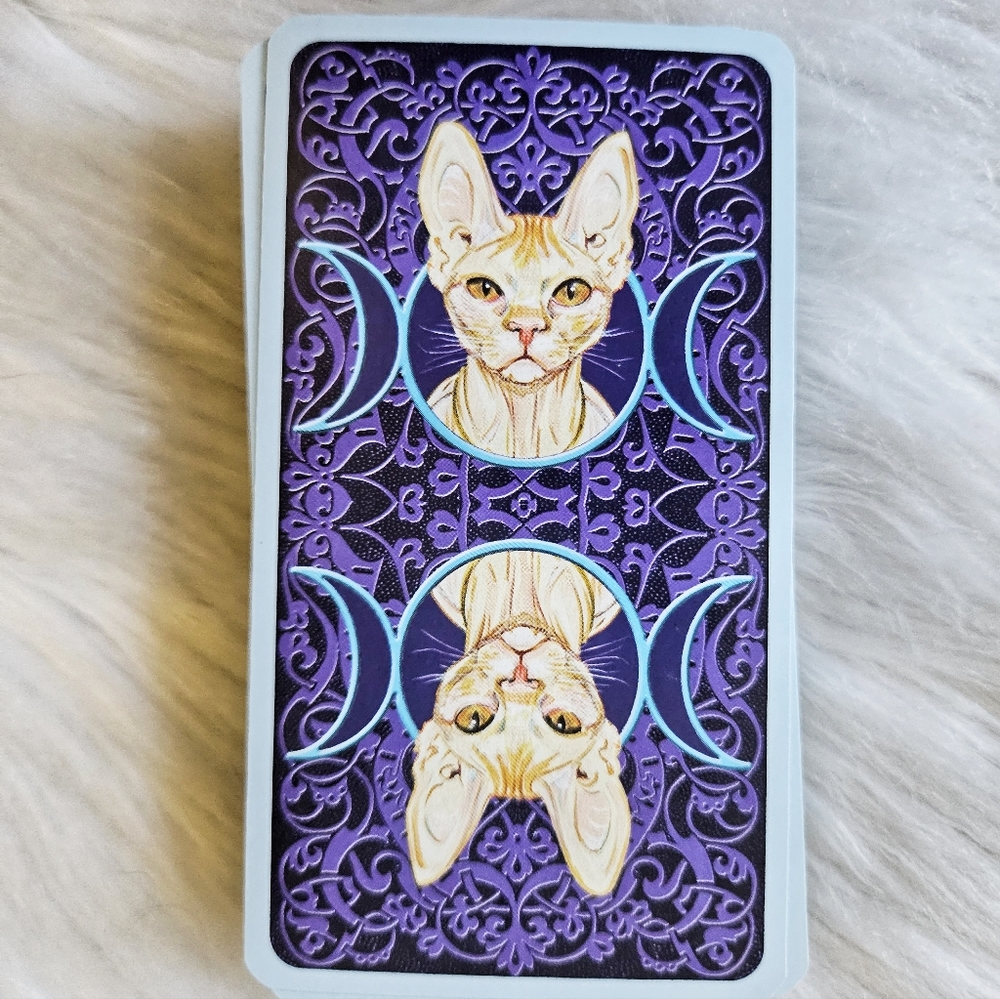Tarot Reading! 🔮 - Picture 7 of 15
